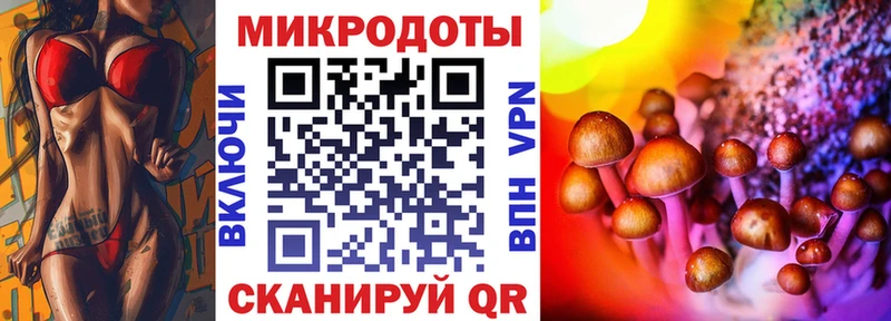 сколько стоит  Калач-на-Дону  Галлюциногенные грибы MAGIC MUSHROOMS 
